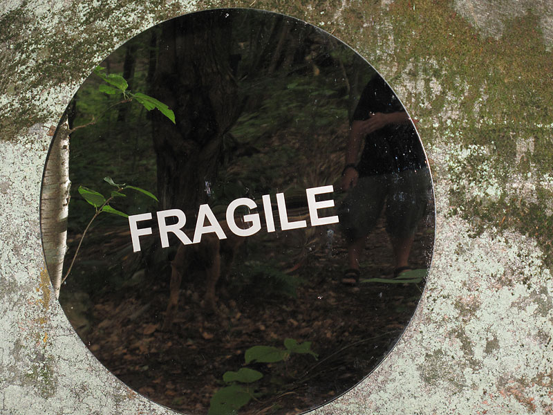 fragile