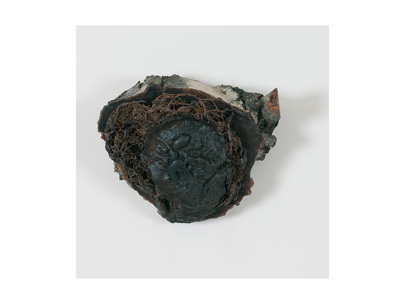 sculpt0059