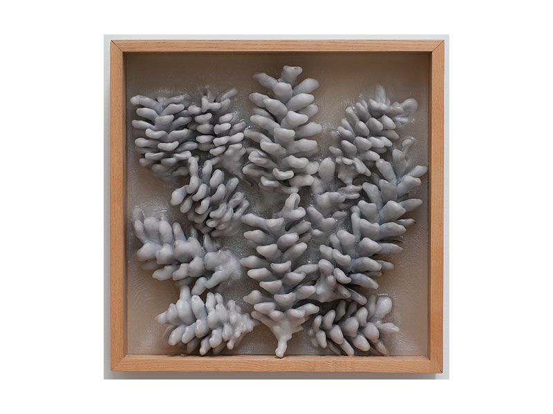 sculpt9961