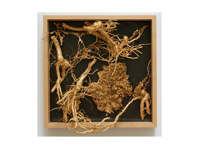 sculpt9969