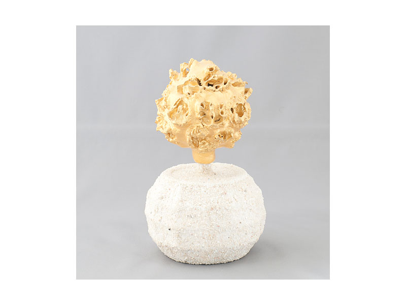 sculpt9997