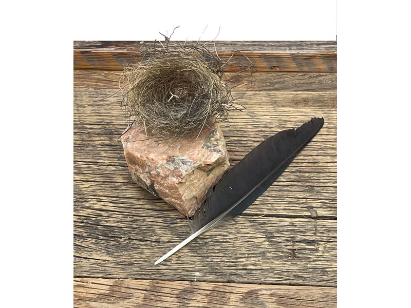 05.NaturalIcons_IMG_2671