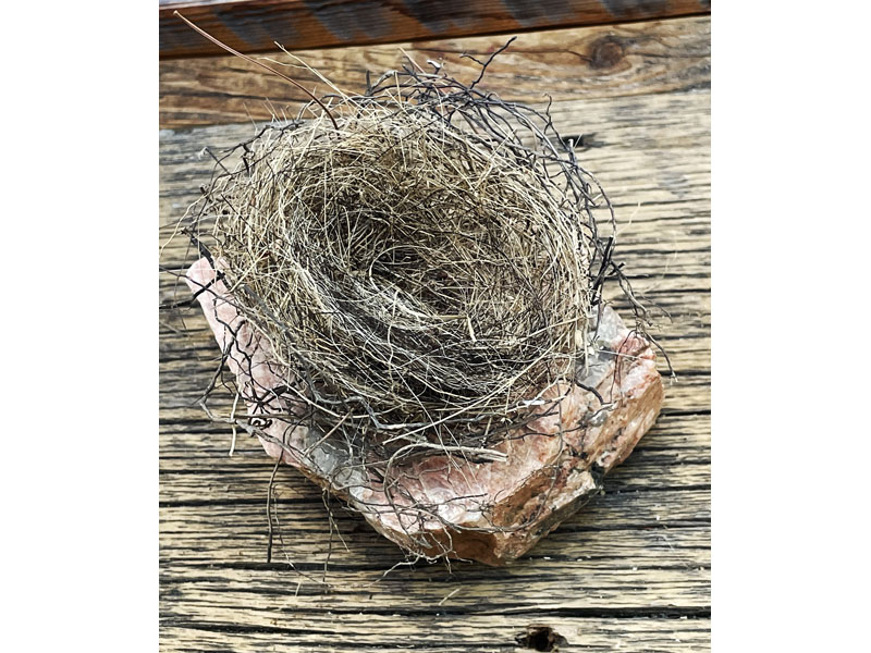 05.NaturalIcons_IMG_2680