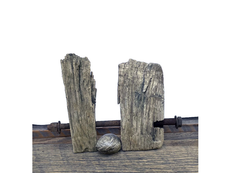 06.NaturalIconsIMG_2676