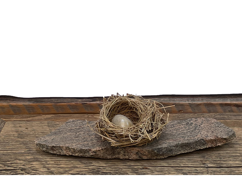 07.NaturalIcons_IMG_2703